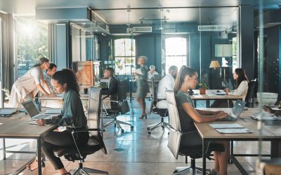 Beyond the playbook: Why investing in people is your best business strategy